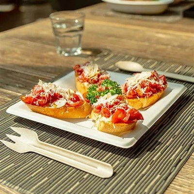 Bagasse-Einwegteller